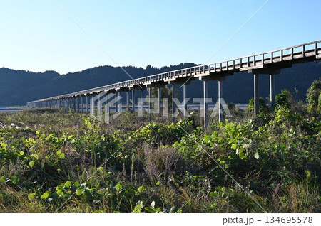 蓬莱橋 世界一長い木造歩道橋 島田市 蓬莱橋 世界一長い木造歩道橋 島田市 134695578