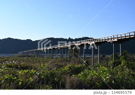 蓬莱橋　世界一長い木造歩道橋　島田市 134695579