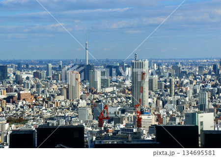 東京都庁からの眺望・都市風景(東京都・新宿区) 東京都庁からの眺望・都市風景(東京都・新宿区) 134695581