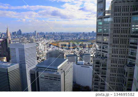 東京都庁からの眺望・都市風景(東京都・新宿区) 東京都庁からの眺望・都市風景(東京都・新宿区) 134695582