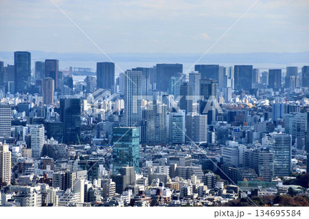 東京都庁からの眺望・都市風景（東京都・新宿区） 134695584