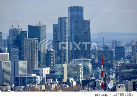 東京都庁からの眺望・都市風景(東京都・新宿区) 東京都庁からの眺望・都市風景(東京都・新宿区) 134695585