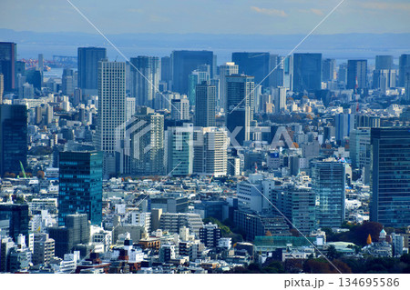 東京都庁からの眺望・都市風景（東京都・新宿区） 134695586