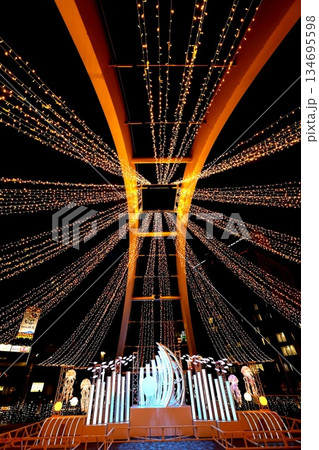 豊橋駅東口ペデストリアンデッキのクリスマスイルミネーション 豊橋駅東口ペデストリアンデッキのクリスマスイルミネーション 134695598