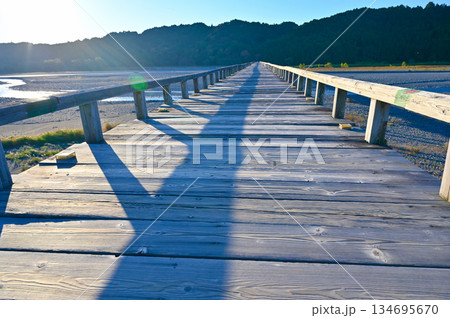 蓬莱橋　木造歩道橋　島田市 134695670