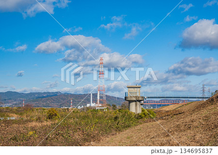 冬枯れの淀川河川敷　大阪府枚方市 134695837