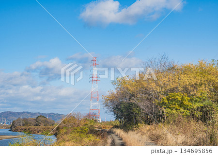 冬枯れの淀川河川敷　大阪府枚方市 134695856