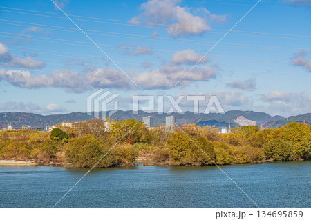 冬の淀川風景　大阪府高槻市 134695859