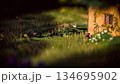 Three-dimensional small world 134695902