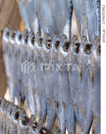 天日干しの目指し01 天日干しの目指し01 134695962