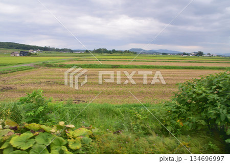 JR北海道留萌本線の深川駅から秩父別駅までの風景 JR北海道留萌本線の深川駅から秩父別駅までの風景 134696997
