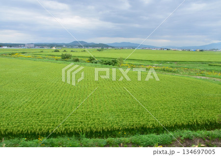 JR北海道留萌本線の深川駅から秩父別駅までの風景 134697005