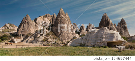 Goreme Fairy Chimneys with Turkish Flag and Horses, Cappadocia, Turkey 134697444
