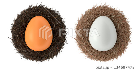 Brown and white eggs in bird nests isolated on white transparent background. Brown and white eggs in bird nests isolated on white transparent background. 134697478