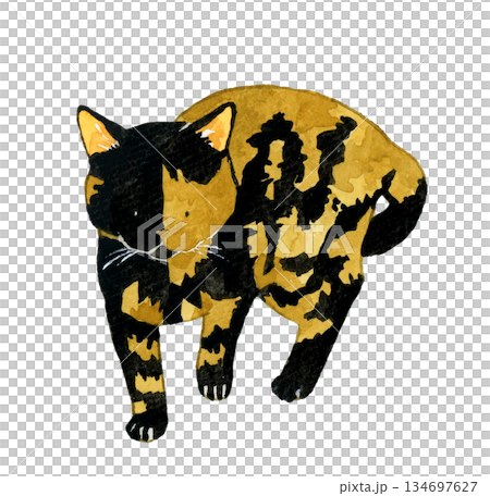 站立（行走）的貓軀幹像 - 手繪水彩寵物和動物插圖 134697627
