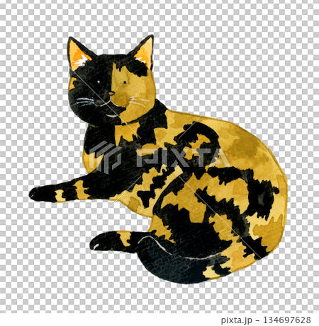 放鬆的貓咪半身像 - 手繪水彩寵物和動物插畫 134697628