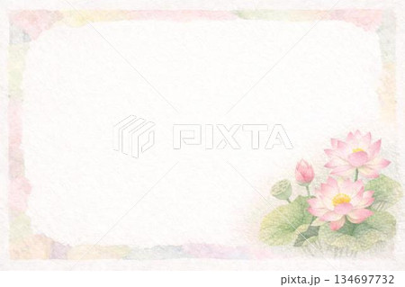 フレーム素材　ハスの花　蓮　はす 134697732