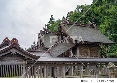 出雲 佐太神社の風景 出雲 佐太神社の風景 134697756
