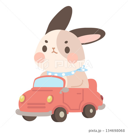 Cartoon Rabbit Driving a Car Illustration 134698068