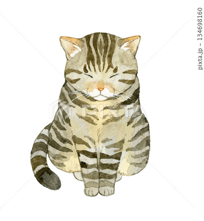 座るキジトラ猫 ペット・動物の手描き水彩イラスト素材 座るキジトラ猫 ペット・動物の手描き水彩イラスト素材 134698160