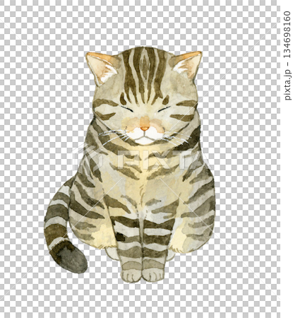 坐著的虎斑貓 - 手繪水彩寵物和動物插畫 坐著的虎斑貓 - 手繪水彩寵物和動物插畫 134698160