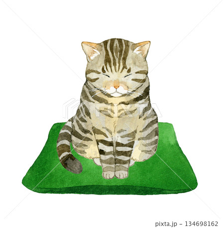 座布団の上で座るキジトラ猫 ペット・動物の手描き水彩イラスト素材 座布団の上で座るキジトラ猫 ペット・動物の手描き水彩イラスト素材 134698162