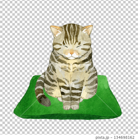 座布団の上で座るキジトラ猫 ペット・動物の手描き水彩イラスト素材 座布団の上で座るキジトラ猫 ペット・動物の手描き水彩イラスト素材 134698162