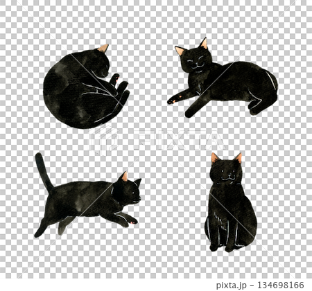 Set of cute black cats - Hand-drawn watercolor illustrations of pets and animals 134698166