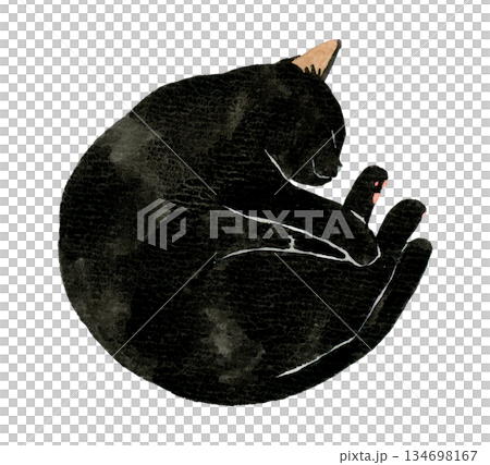丸くなって寝る黒猫　ペット・動物の手描き水彩イラスト素材 134698167