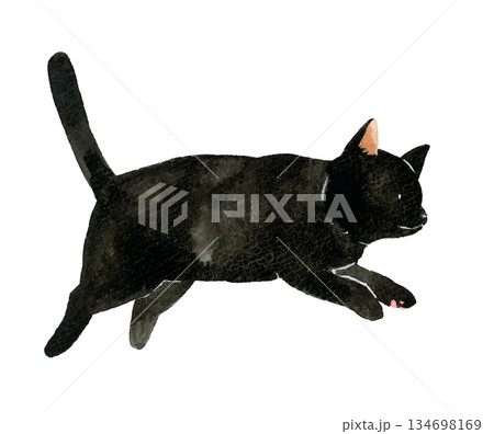 ジャンプしている黒猫 ペット・動物の手描き水彩イラスト素材 ジャンプしている黒猫 ペット・動物の手描き水彩イラスト素材 134698169