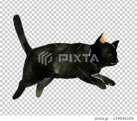 ジャンプしている黒猫 ペット・動物の手描き水彩イラスト素材 ジャンプしている黒猫 ペット・動物の手描き水彩イラスト素材 134698169