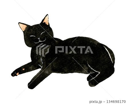 笑顔に見える黒猫 ペット・動物の手描き水彩イラスト素材のイラスト