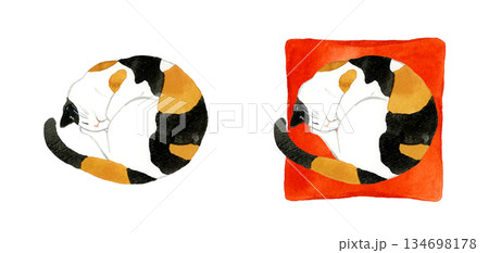 丸くなって寝る三毛猫のセット　ペット・動物の手描き水彩イラスト素材 134698178