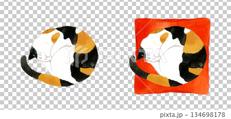 丸くなって寝る三毛猫のセット　ペット・動物の手描き水彩イラスト素材 134698178