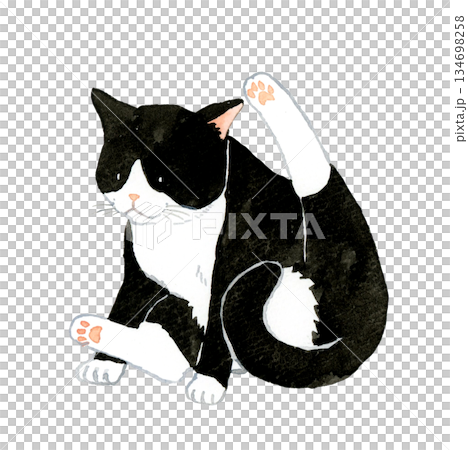 Black and white tabby cat doing a funny pose. Hand-drawn watercolor illustration of a pet or animal. 134698258