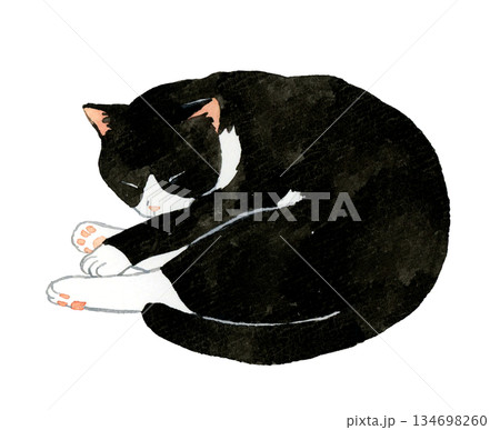 丸くなって寝る白黒ハチワレ猫　ペット・動物の手描き水彩イラスト素材 134698260