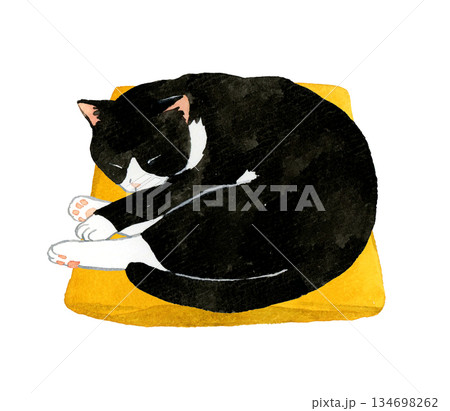 座布団の上で丸くなって寝る白黒ハチワレ猫 ペット・動物の手描き水彩イラスト素材 座布団の上で丸くなって寝る白黒ハチワレ猫 ペット・動物の手描き水彩イラスト素材 134698262