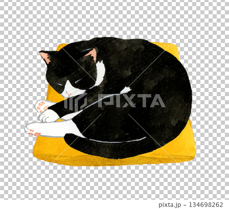 座布団の上で丸くなって寝る白黒ハチワレ猫 ペット・動物の手描き水彩イラスト素材 座布団の上で丸くなって寝る白黒ハチワレ猫 ペット・動物の手描き水彩イラスト素材 134698262