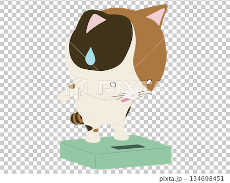 三花貓踩上體重計時觸電了 134698451