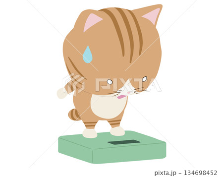 体重計に乗ってショックをうける茶トラ猫 体重計に乗ってショックをうける茶トラ猫 134698452