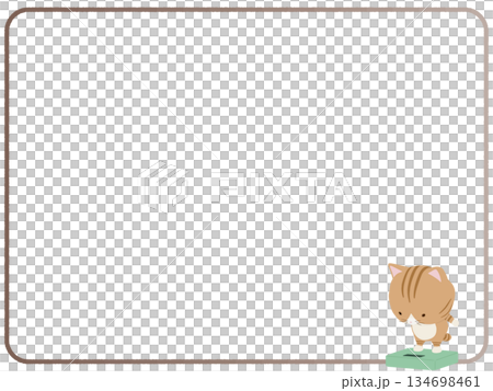 Brown tabby cat frame on a weight scale 134698461