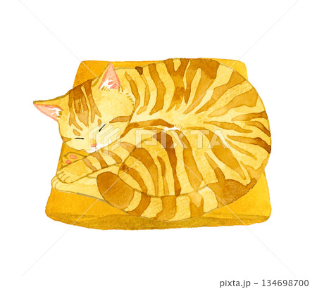 座布団の上で丸くなって寝る茶トラ猫 ペット・動物の手描き水彩イラスト素材 座布団の上で丸くなって寝る茶トラ猫 ペット・動物の手描き水彩イラスト素材 134698700