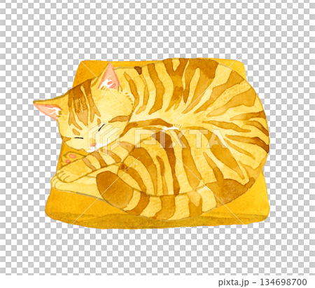 座布団の上で丸くなって寝る茶トラ猫 ペット・動物の手描き水彩イラスト素材 座布団の上で丸くなって寝る茶トラ猫 ペット・動物の手描き水彩イラスト素材 134698700