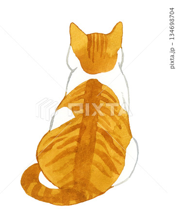 背中を向けて座る茶白猫　ペット・動物の手描き水彩イラスト素材 134698704