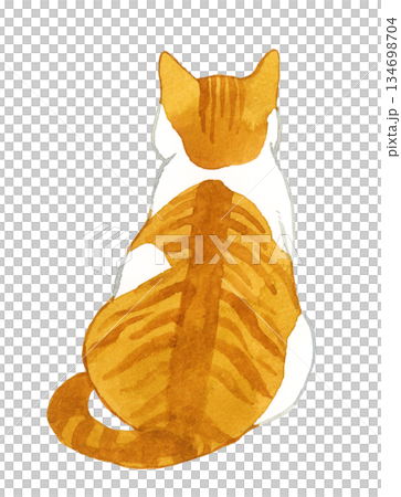 背中を向けて座る茶白猫　ペット・動物の手描き水彩イラスト素材 134698704