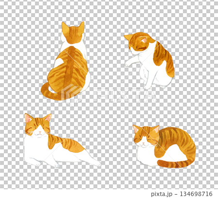 A set of cute brown and white cats. A collection of hand-drawn watercolor illustrations of pets and animals. 134698716