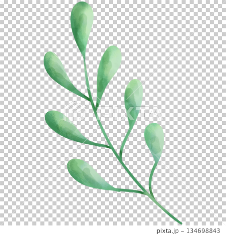 Hand-painted watercolor illustration of Christmas decorative leaves. Hand-painted watercolor illustration of Christmas decorative leaves. 134698843