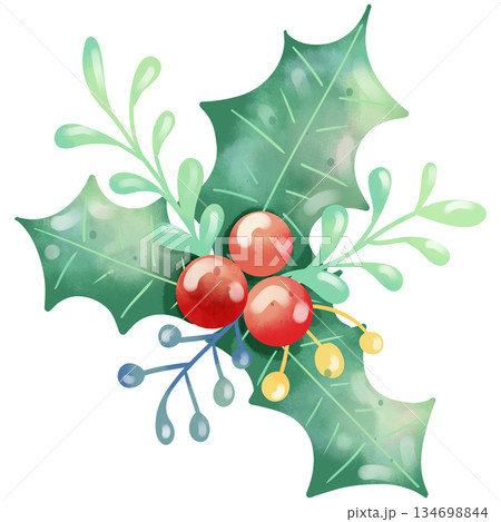 Hand-painted watercolor illustration of Christmas decorative leaves. 134698844