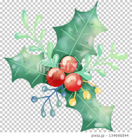 Hand-painted watercolor illustration of Christmas decorative leaves. 134698844