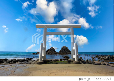 二見ケ浦の白い鳥居と夫婦岩 134699091